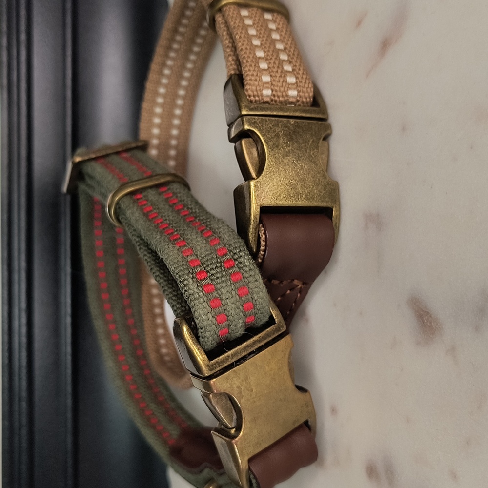 Reddy Preppy Boi Dog Collars Set